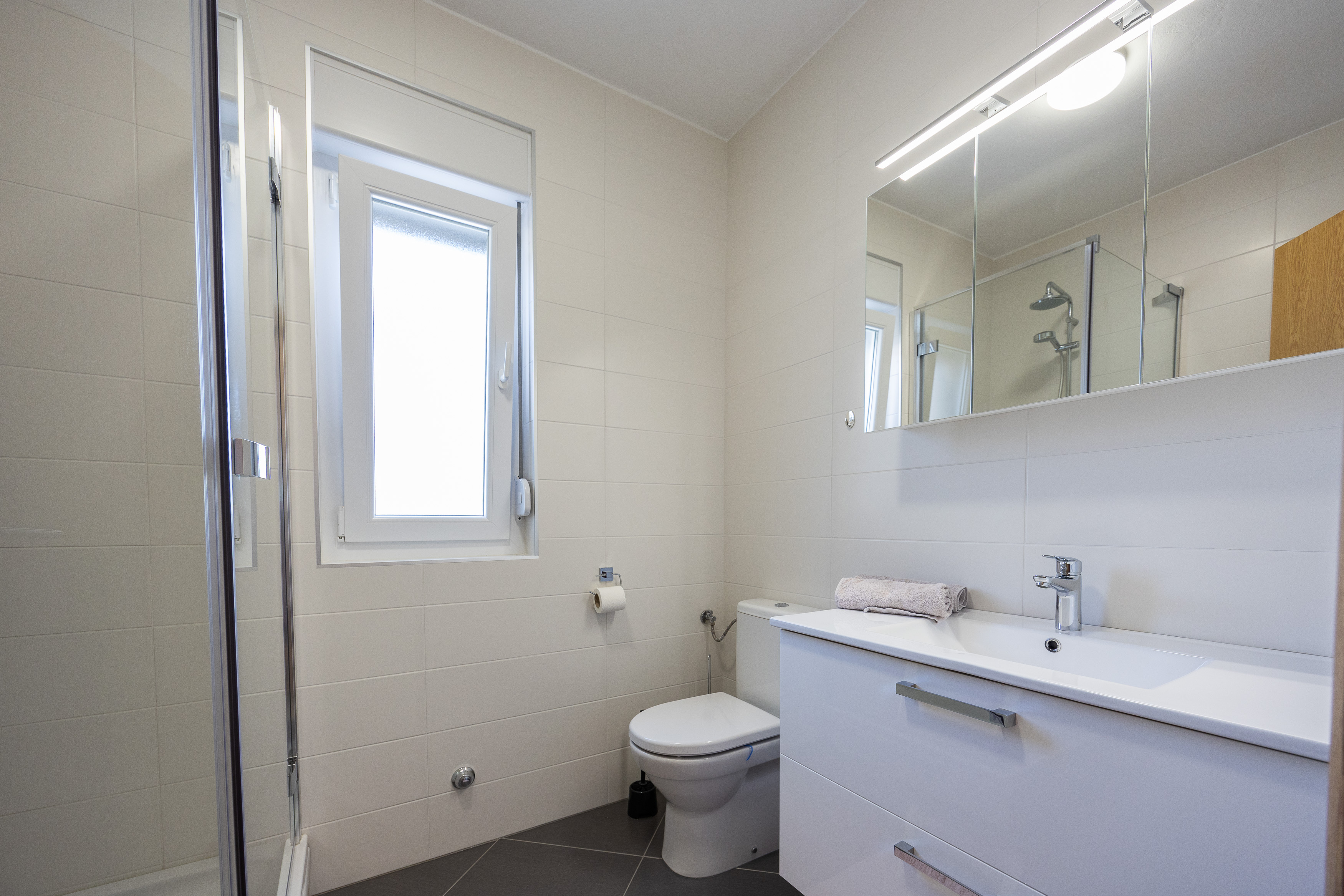 Modern bathroom with shower